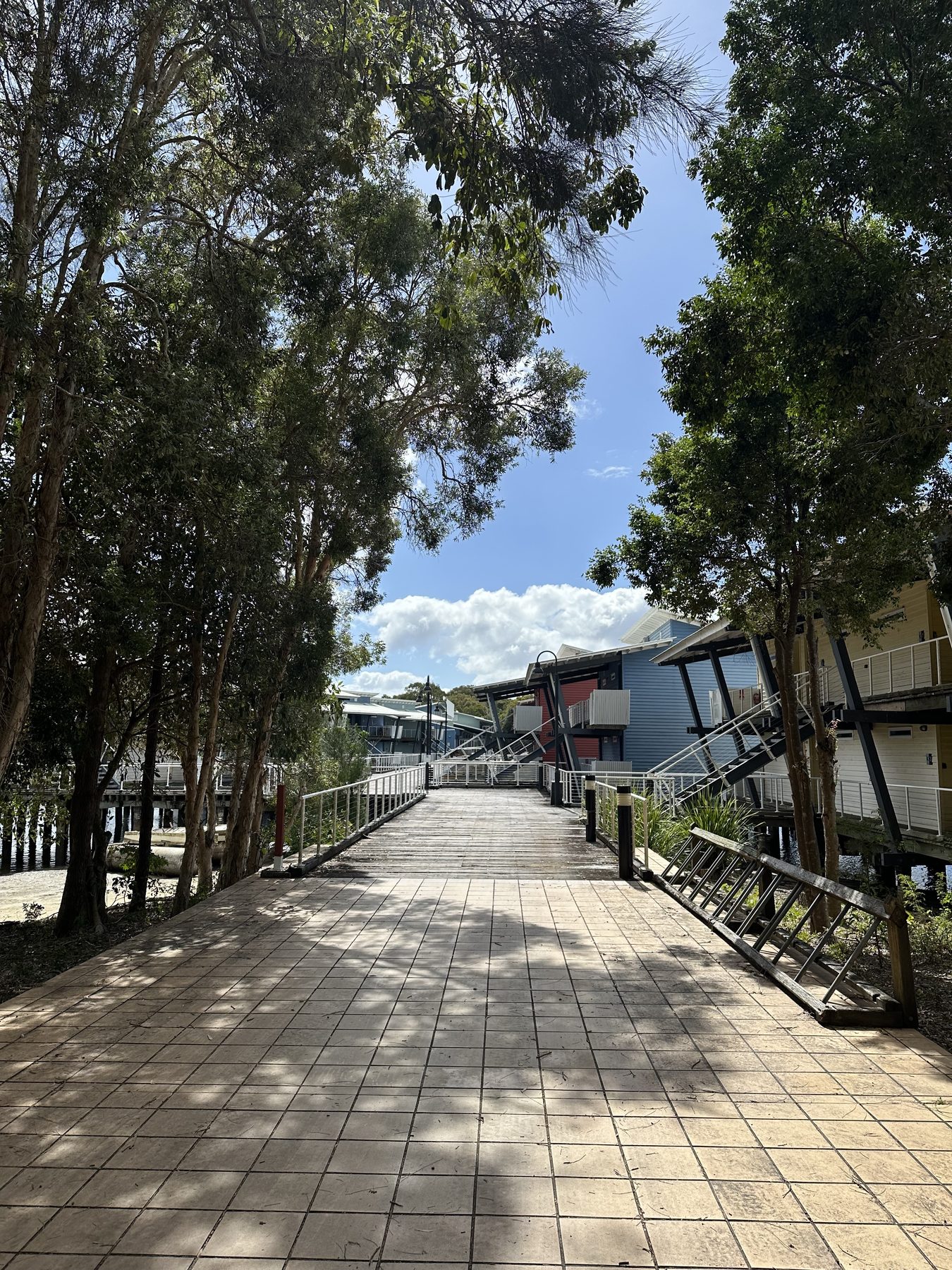 Tree-lined boardwalk beside marina-side buildings at Couran Cove